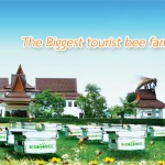สวนผึ้งพีทยา Big Bee
