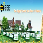สวนผึ้งพีทยา Big Bee Farm
