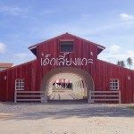 Swiss Sheep Farm Pattaya ฟาร์มแกะพัทยา3