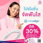 โปรอินวิส
