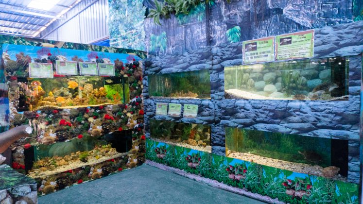 aquarium pattaya ราคา 2019