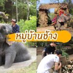 ที่เที่ยวพัทยา-04