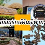 ที่เที่ยวพัทยา-24