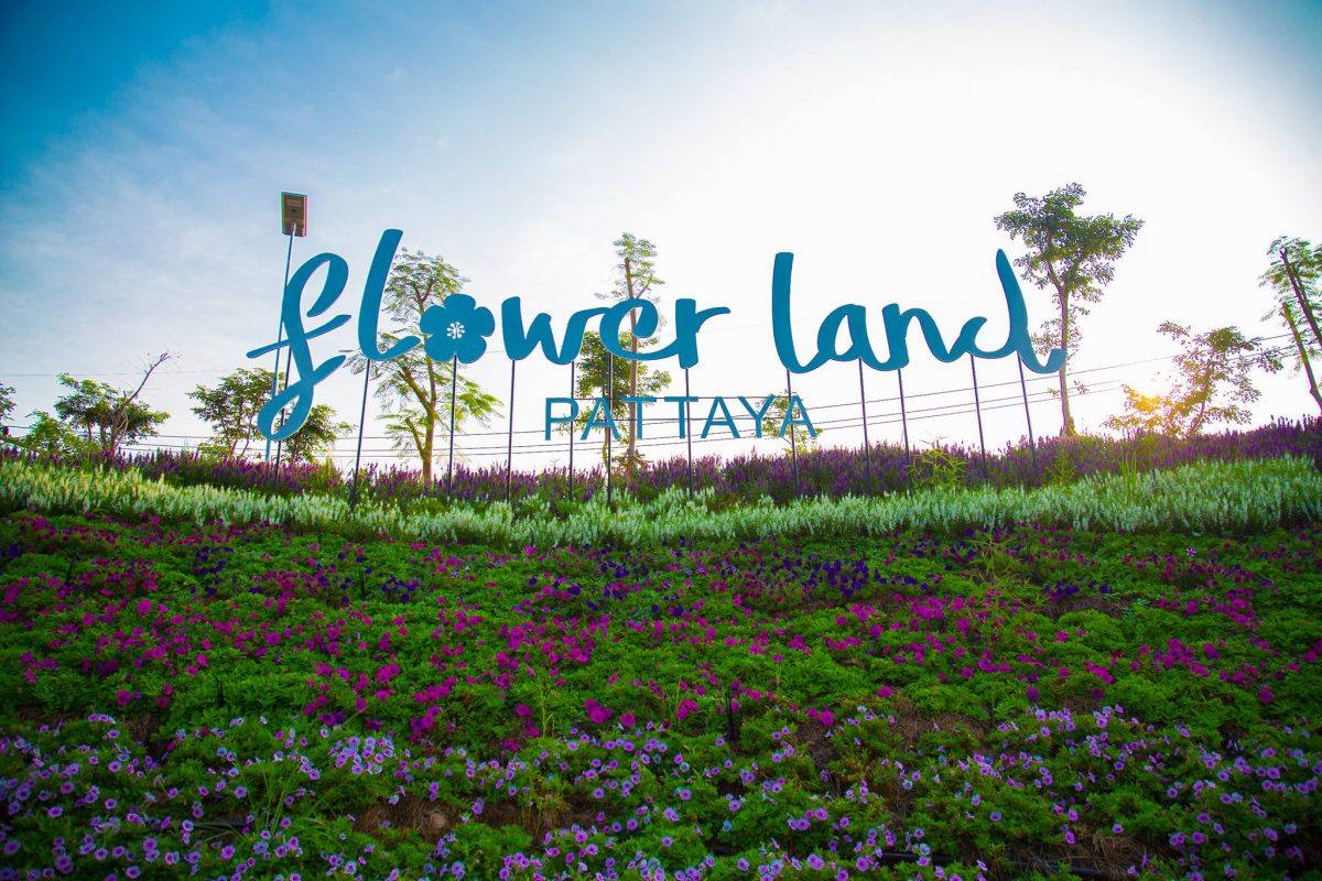 flowerlandpattaya1