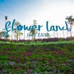 flowerlandpattaya1