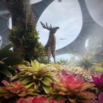 flowerlandpattaya3