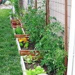 61-Beautiful-Backyard-Vegetable-Garden-Designs-Ideas-GardenIdeas