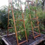 85-fabulous-DIY-vertical-garden-design-ideas-Elaine