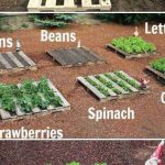 English-Garden-SalePrice_16
