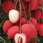 Lychee-Fruit-_-Health-Benefits-Recipes