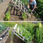 No-tools-required-DIY-Pallet-Cucumber-Trellis-•-Lovely-Greens