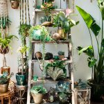 Plants-galore…