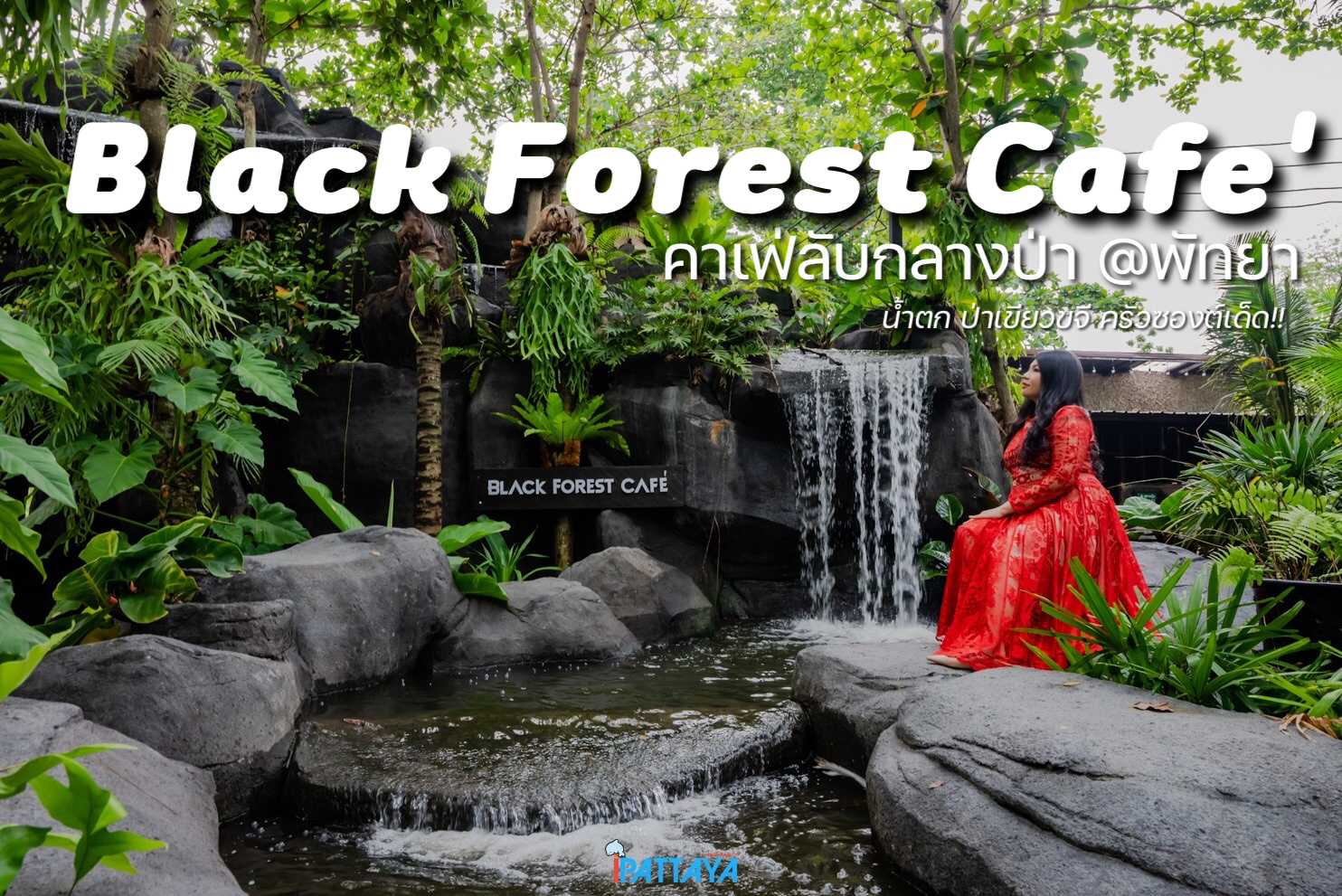BLACK FOREST คาเฟ่ป่า(ลับ)พัทยา | iPattaya เที่ยวไหนพัทยา