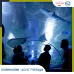 underwaterworld-final-09