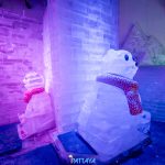 LINE_ALBUM_FROST_221115_60