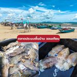 LINE_ALBUM_9ตลาด_230728_11