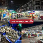 LINE_ALBUM_9ตลาด_230728_9