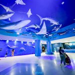LINE_ALBUM_5966_230910_6