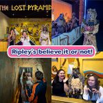 LINE_ALBUM_2024.10.16_241017_1