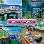 LINE_ALBUM_20ที่เที่ยว_231009_8