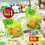 LINE_ALBUM_foodland_241031_5